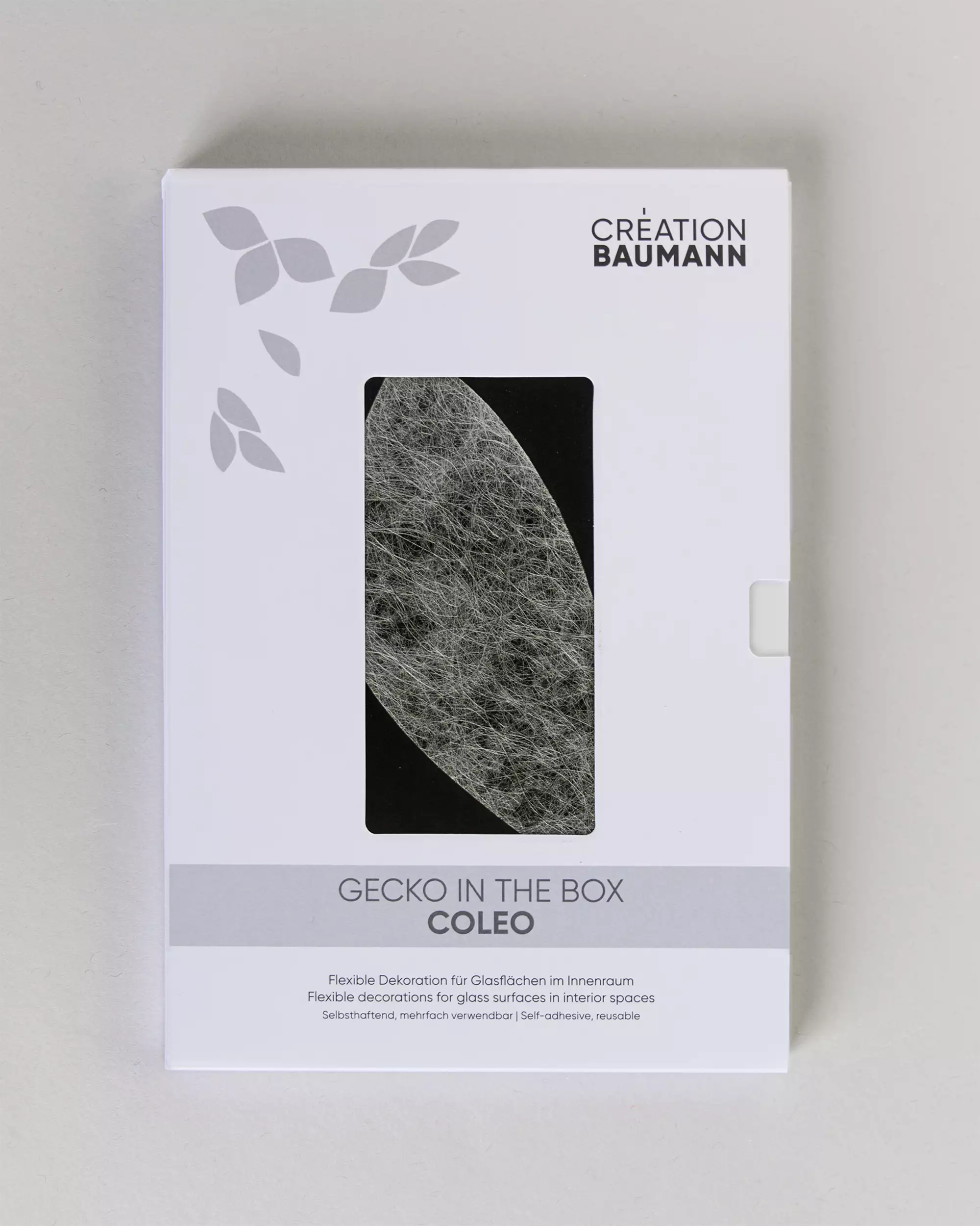 acousticpearls-gecko-in-the-box-coleo-adh-sif-fen-tre image 4