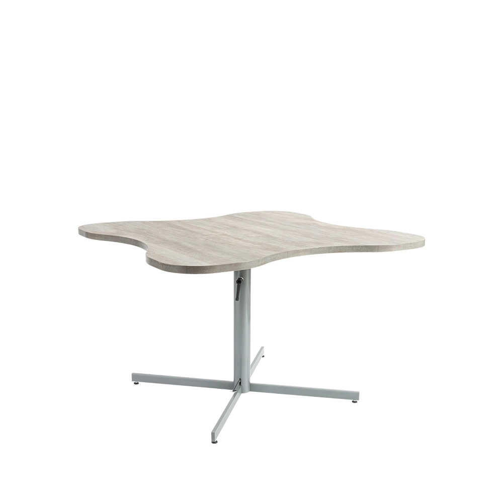 dlm-cr-ations-p-tale-hv-120x120-table-hauteur-variable image 1