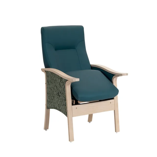 dlm-ergomodel-easy-up-delta-1f-fauteuil-releveur image 1
