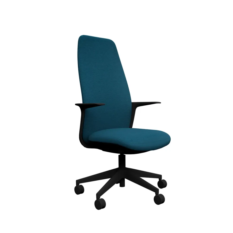 dlm-creations-levita-96-229-010-chaise-de-bureau-rembourr-e-accoudoirs image 1