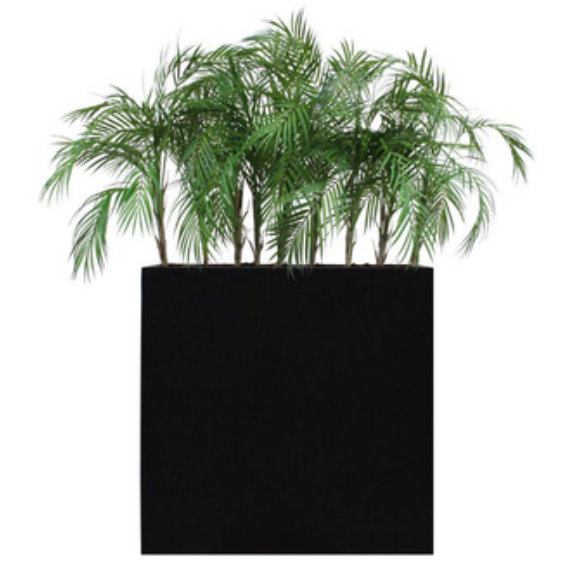 dlm-cr-ations-leader-palmier-plante-artificielle-fiberstone image 1
