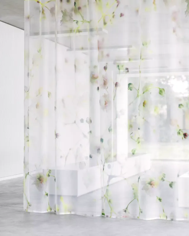 acousticpearls-sophila-voilage-transparent-motif-gypsophile-vert image 1