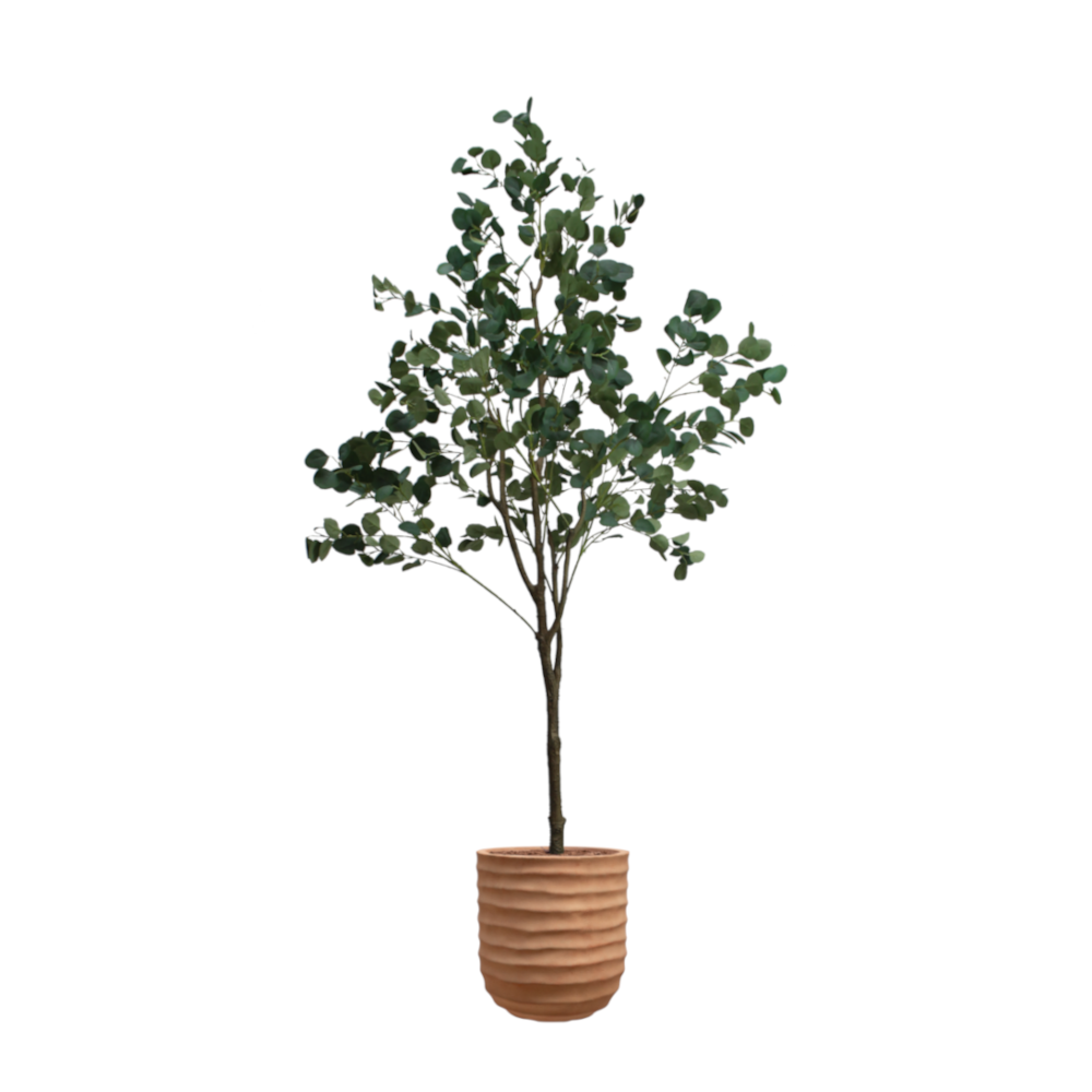 dlm-cr-ations-eucalyptus-artificiel-pot-terracotta image 1