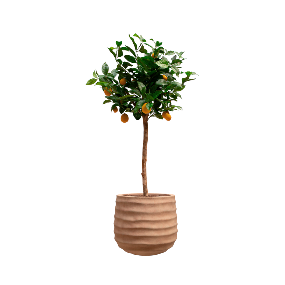 dlm-creations-citronnier-artif-plante-artificielle-pot-terracotta image 1