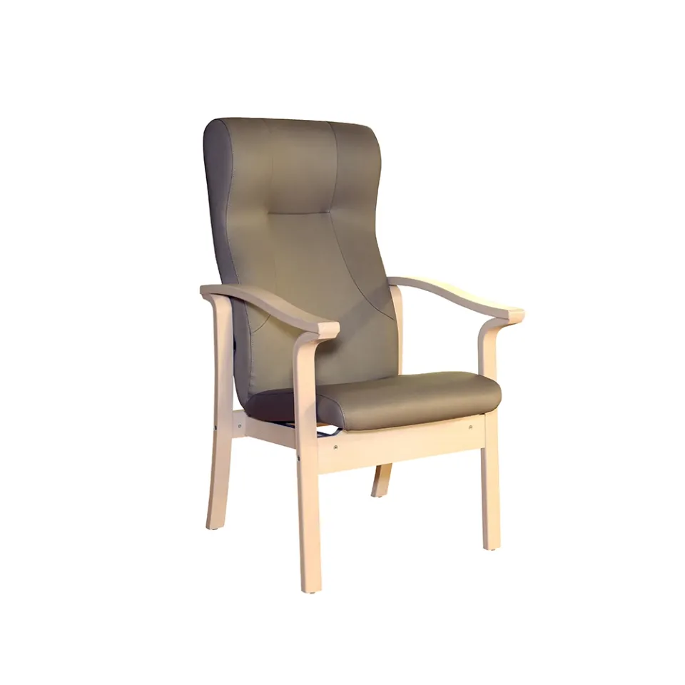 dlm-cr-ations-java-1f-fauteuil-de-repos-dossier-haut-bois image 1