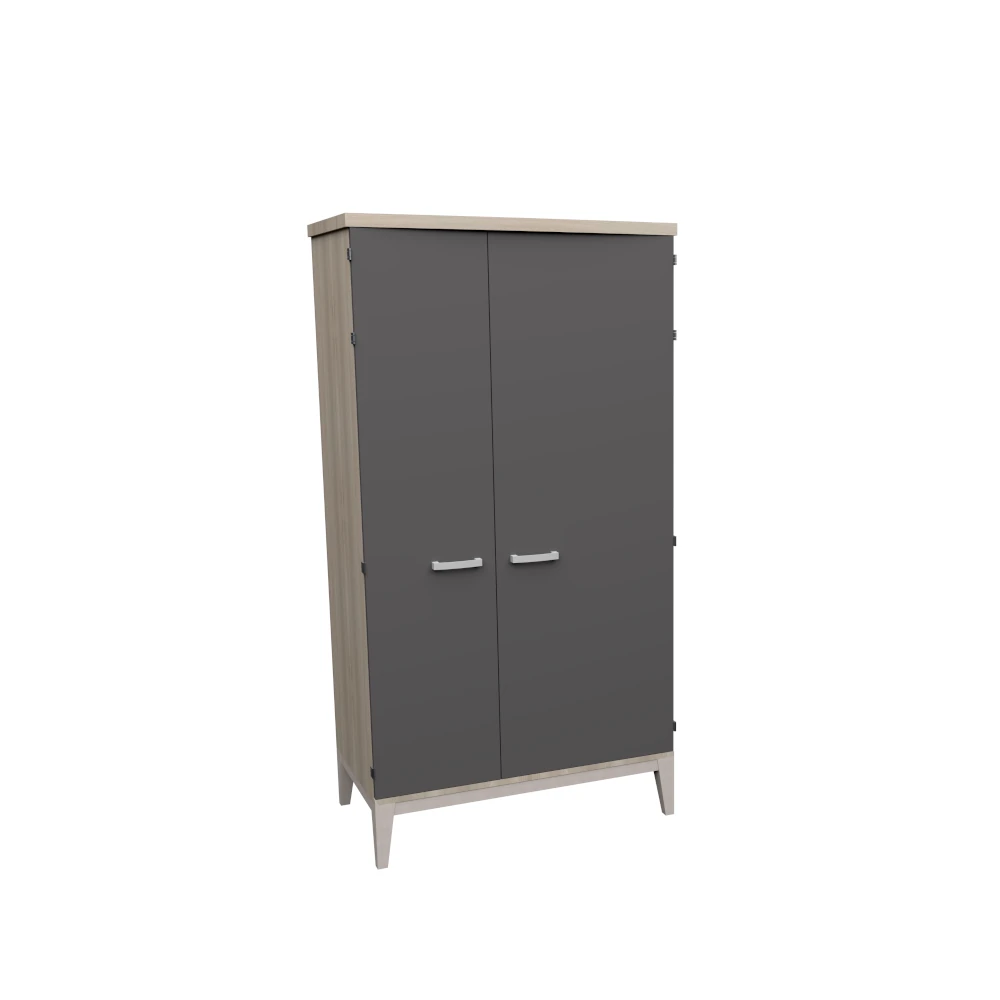 dlm-cr-ations-django-dj-1000-100-armoire-2-portes-m-lamin image 1