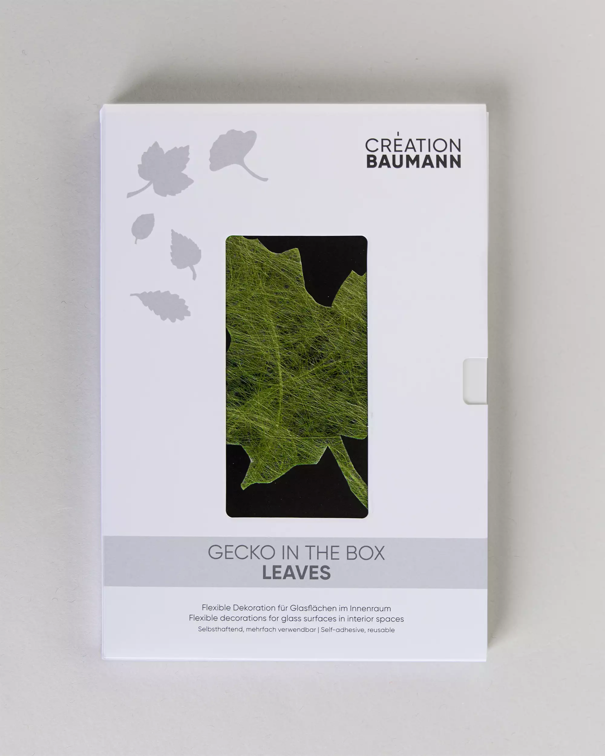 acousticpearls-gecko-in-the-box-leaves-adh-sif-fen-tre image 2