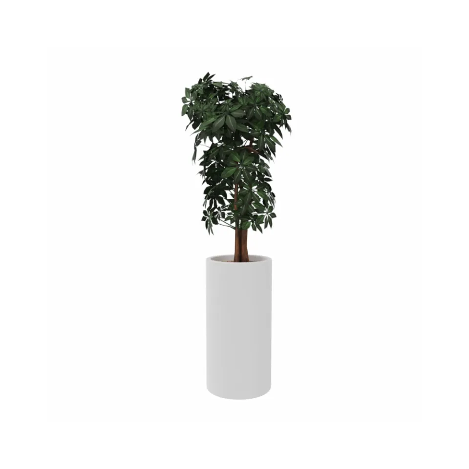 dlm-cr-ations-schefflera-artif-plante-artificielle-pot-fiberstone image 1