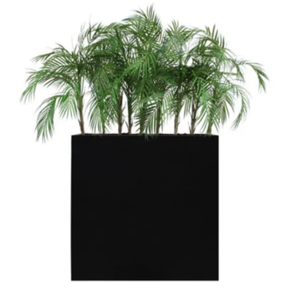 dlm-cr-ations-leader-palmier-plante-artificielle-fiberstone image 1