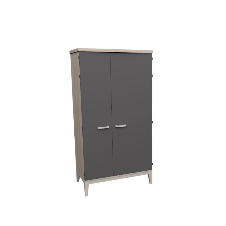 dlm-cr-ations-django-dj-1000-100-armoire-2-portes-m-lamin image 1